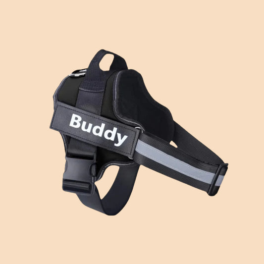 Personalized No-Pull Dog Harness