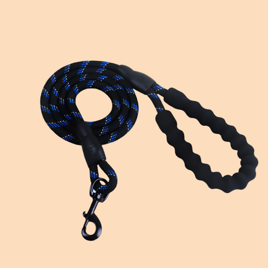 Reflective Nylon Leash