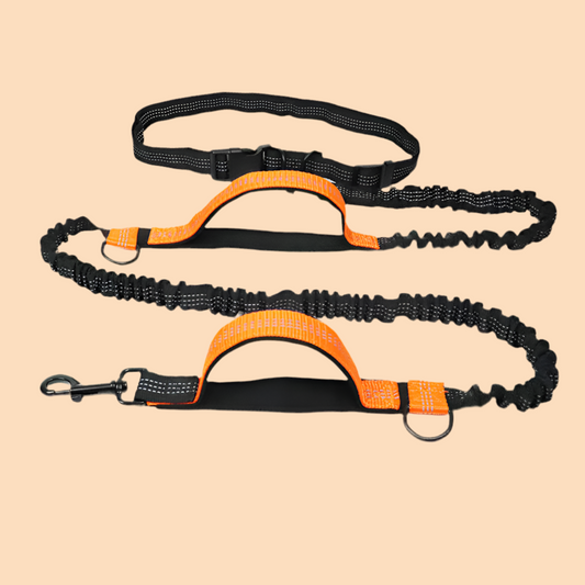 Reflective Multi-Function Dog Leash