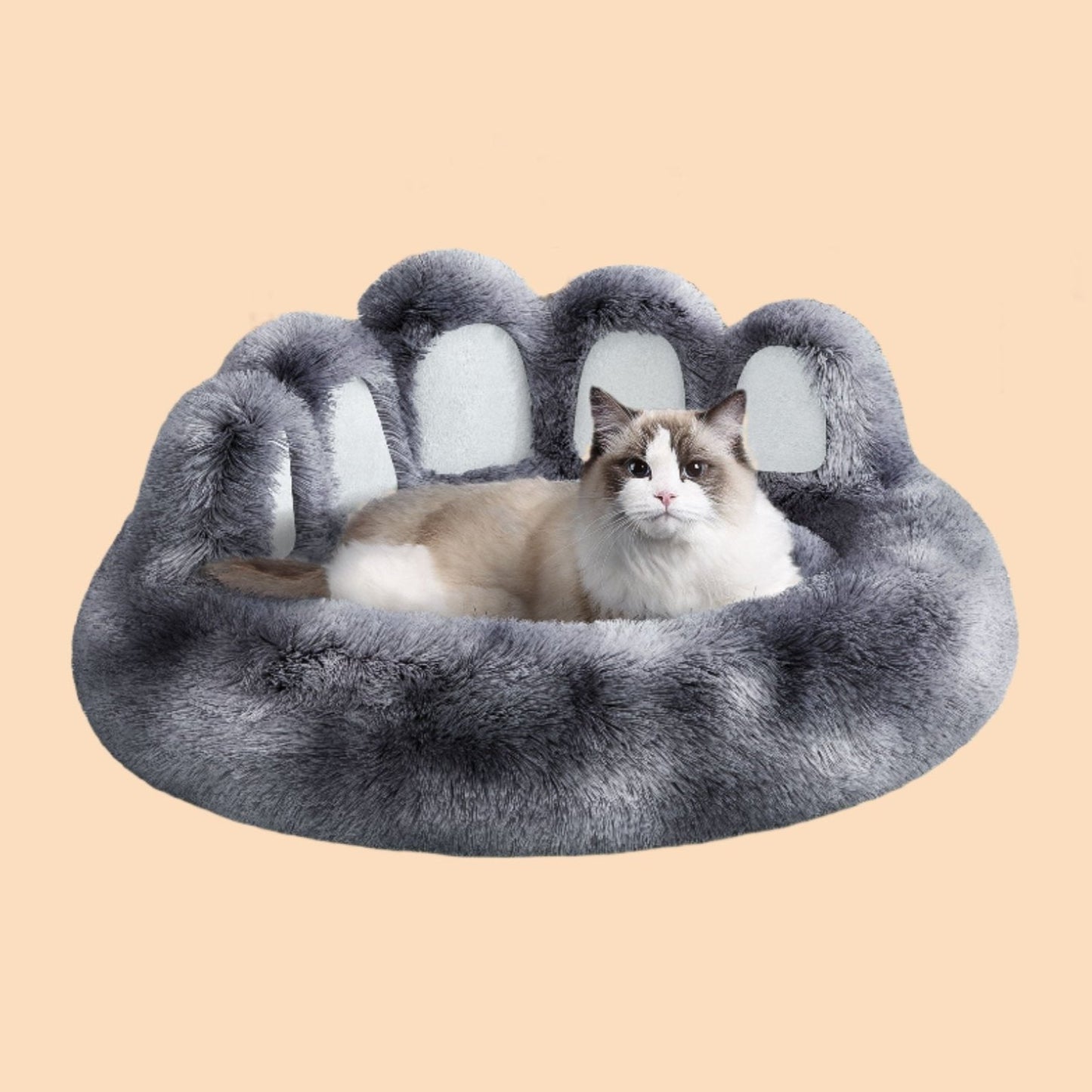 Cozy Bear-Paw Bed